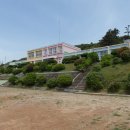 녹산초등학교 Daum카페