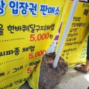 강릉 풍호마을 연꽃축제[2024. 07. 19(금)~2024. 07. 21(일)]