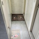 허니비프로젝트 이미지