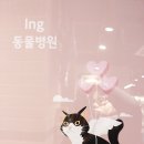 고병기동물병원
