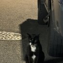 김해통닭 이미지