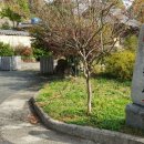 송림길삼거리 이미지