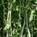 하이농장 이미지