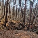 아름다운 가을 떠나 보내고 겨울 맞이 월악산 만수봉 산행 (2024.11,25). 이미지