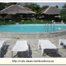 앨리스 인 원더랜드 이미지