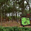 송림 힐링캠핑장 이미지