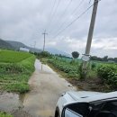 양편농장 이미지