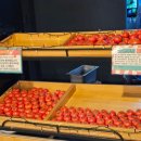 함박웃는룻 이미지