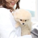 월