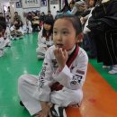 국제고려태권도 이미지