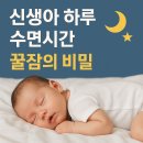 [학습多방]손바느질로 만드는 나만의 애착인형 | 신생아 하루 수면시간, 꿀잠의 비밀 🌙