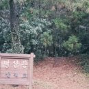 골곡지 이미지