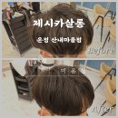 산내9단지 버스정류장 | 운정 미용실 추천｜제시카살롱 운정 산내마을점 MEN’S 볼륨매직 &amp; 커트 솔직 후기