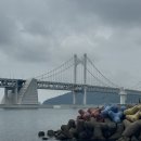 시크리코소금돼지 | 지쳤나요