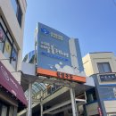 서귀포 올레시장 먹거리 기념품 투어 렛츠기릿