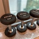 알앤디피티 이미지