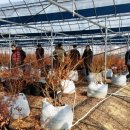 곰바우농장 이미지