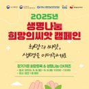 나눔