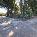 토산초교 2 이미지