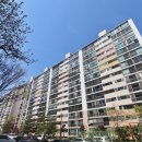 국화한신 이미지