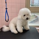 꼬망망