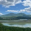 실로암농장 네이버블로그