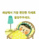 촌장 이미지