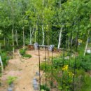 자작나무쉼터 이미지