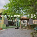 제주 아니따파스타 오픈런 웨이팅 스타빌 근처 제주시 블루리본 맛집 아기랑
