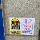 전단지배포대전광고