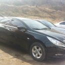 애니렌트카 이미지