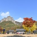 위드메디칼 이미지