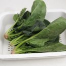 스타덤핏 이미지