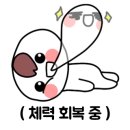댕글 몽글 네이버블로그