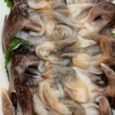 분당-331 이미지