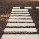 시기공추 이미지