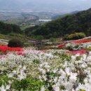 지리산정원 네이버블로그