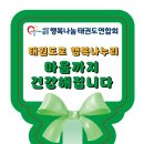 경희대신화태권도장 이미지