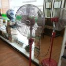 옻율당한약국 이미지