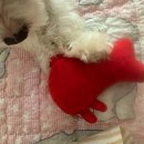 지에스25 무안현경점 | 이모저모 •••