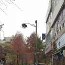 총각네애견 이미지