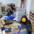 봄누리유치원 이미지