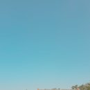 초록빛목장 이미지