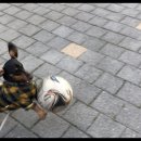 자랑하개 이미지