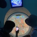 제주 서귀포 정방폭포 이미지