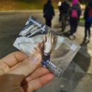 프라도 | 프라도미술관 무료입장 후기 작품 대표작 모나리자 오디오 가이드