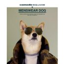 (주)견공 이미지