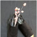 딱!여그서 이미지