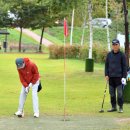 파크골프 이미지
