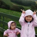 매형목장 이미지